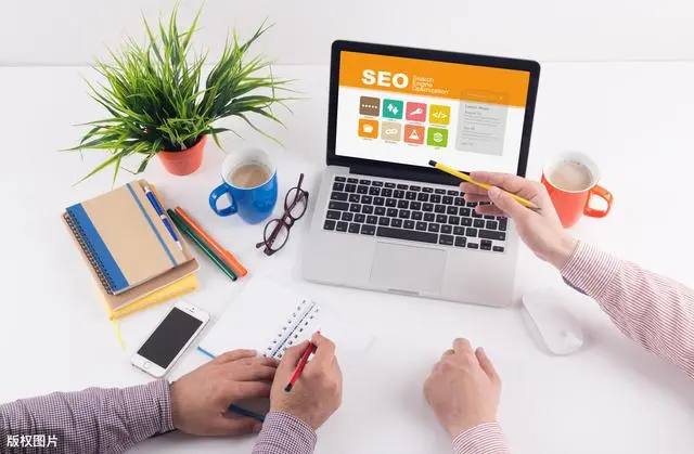 新人拍婚纱照遭遇黑天鹅抢新娘